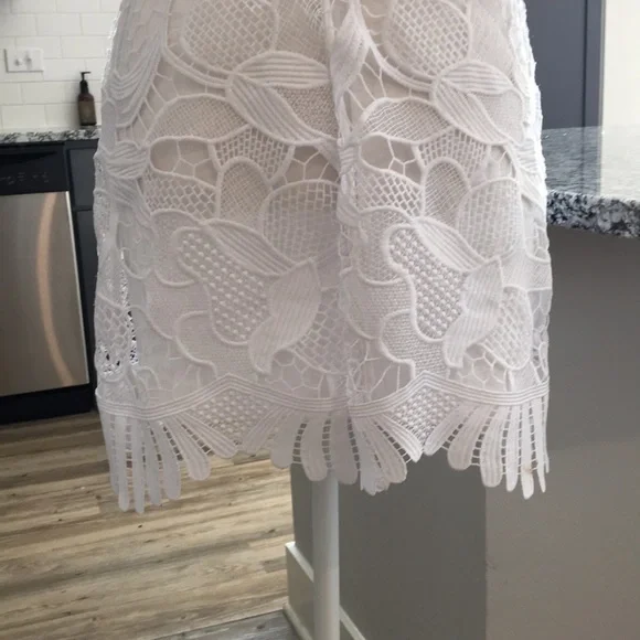 Express white Lace Trapeze Dress - Picture 6 of 7